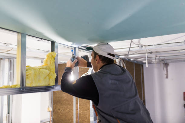 Best Specialized Insulation Services in Rolla, ND