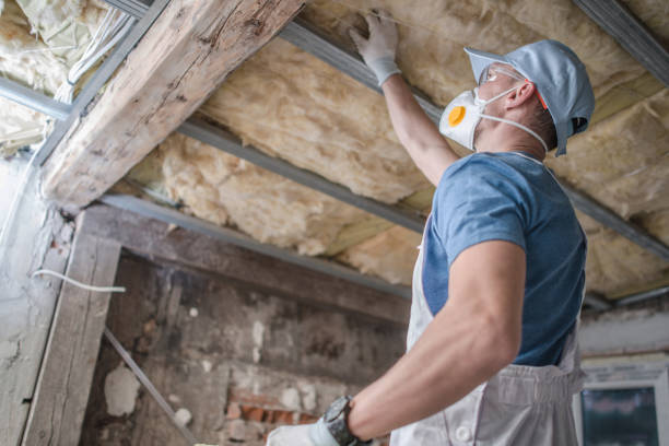 Best Residential Insulation in Rolla, ND